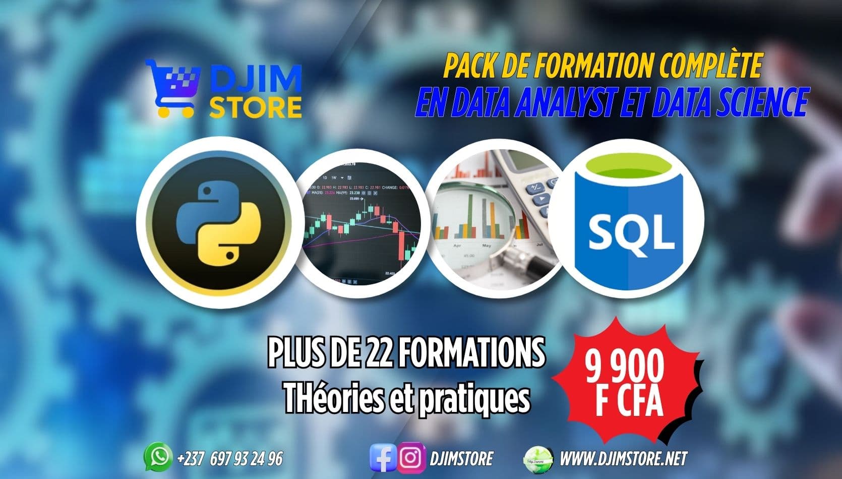 PACK DE FORMATION DATAANALYST ET DATA SCIENCE's cover photo