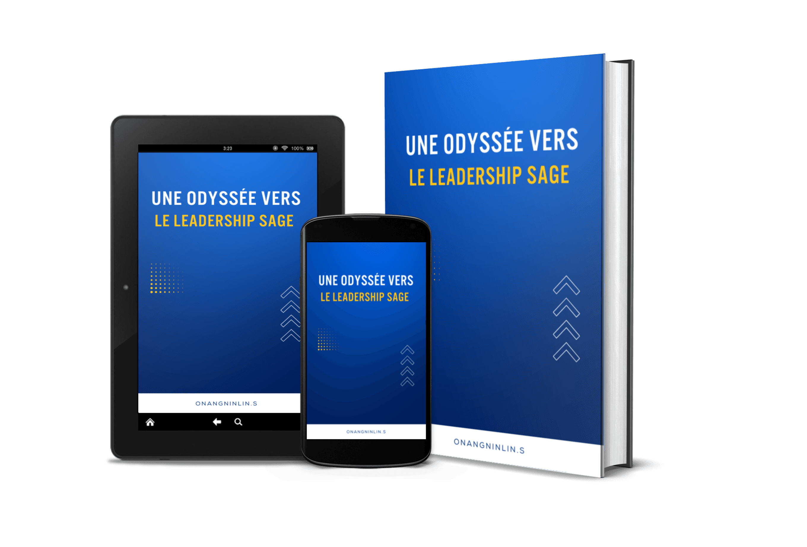 Une odyssée vers le leadership sage's cover photo